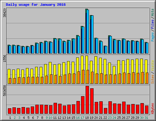 Daily usage for January 2016