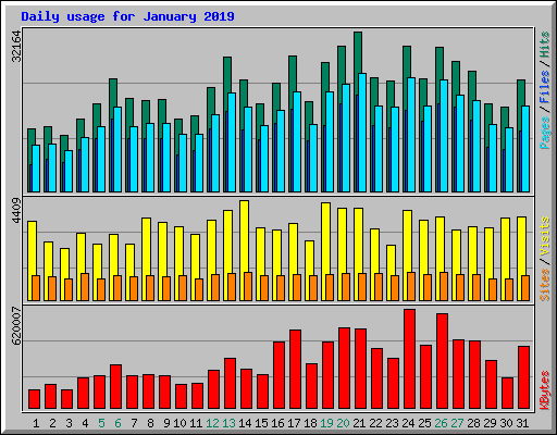 Daily usage for January 2019