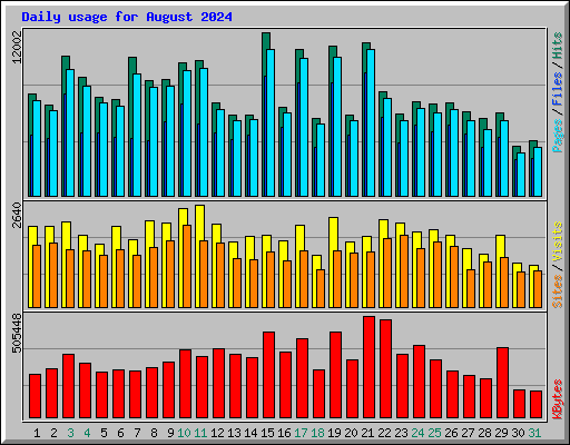 Daily usage for August 2024