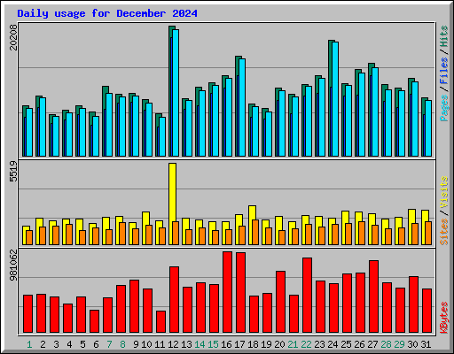Daily usage for December 2024