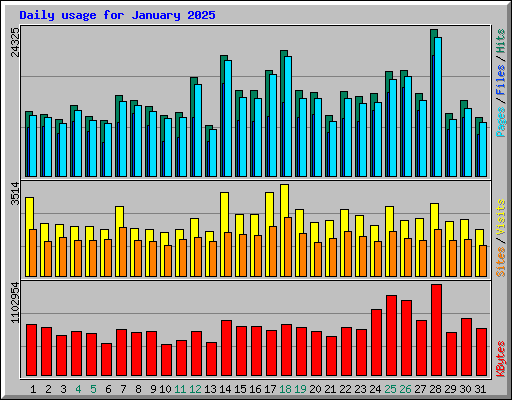 Daily usage for January 2025