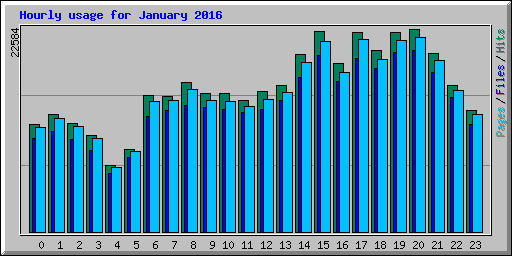 Hourly usage for January 2016