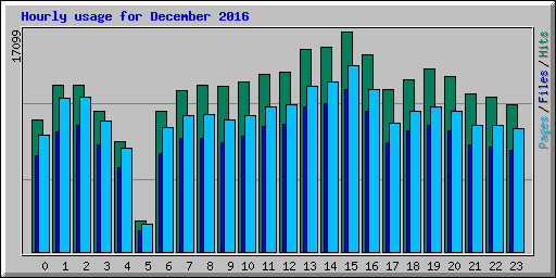 Hourly usage for December 2016