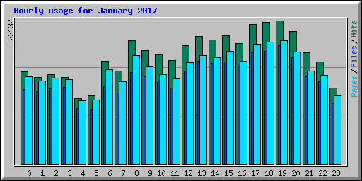 Hourly usage for January 2017