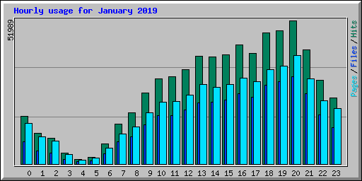 Hourly usage for January 2019