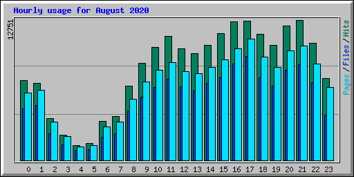 Hourly usage for August 2020