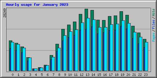 Hourly usage for January 2023