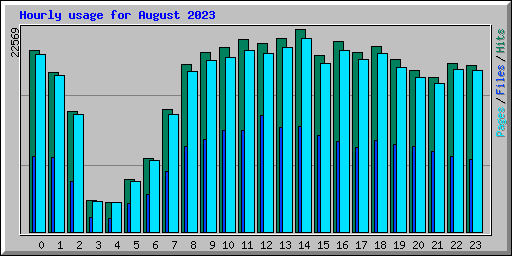 Hourly usage for August 2023