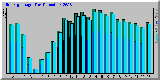 Hourly usage for December 2023