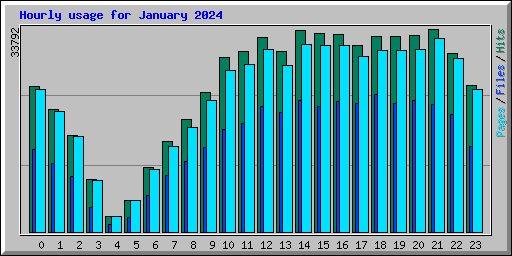 Hourly usage for January 2024