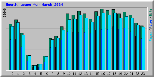 Hourly usage for March 2024