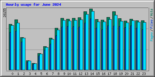 Hourly usage for June 2024