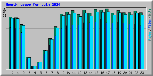 Hourly usage for July 2024