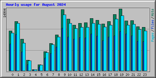 Hourly usage for August 2024