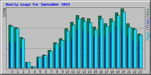 Hourly usage for September 2024