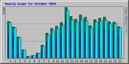 Hourly usage for October 2024