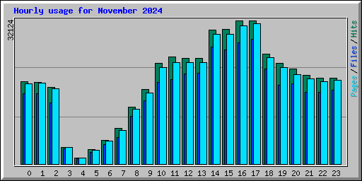 Hourly usage for November 2024