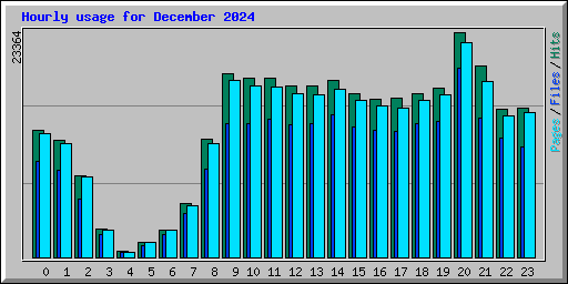 Hourly usage for December 2024
