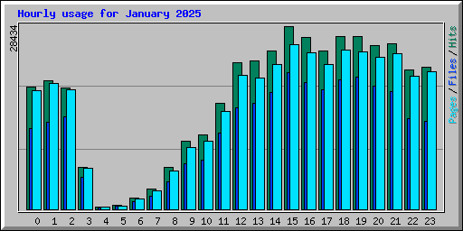 Hourly usage for January 2025