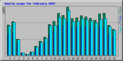Hourly usage for February 2025