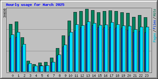 Hourly usage for March 2025