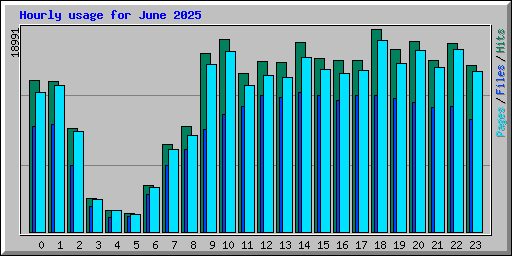 Hourly usage for June 2025