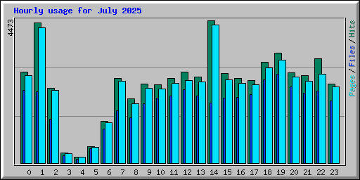Hourly usage for July 2025