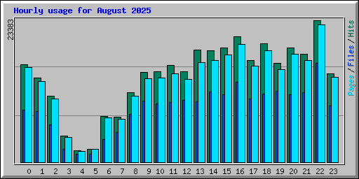 Hourly usage for August 2025
