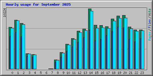 Hourly usage for September 2025