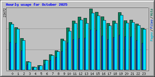 Hourly usage for October 2025