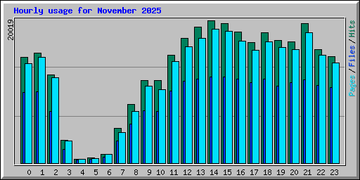 Hourly usage for November 2025
