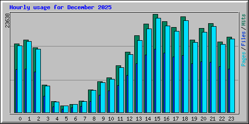 Hourly usage for December 2025