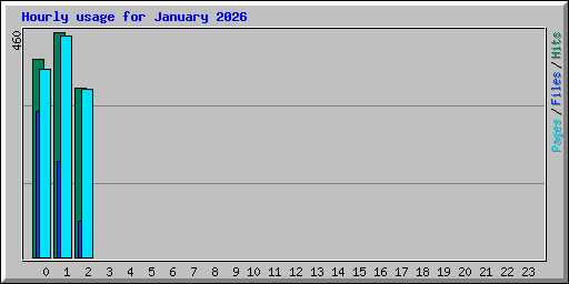 Hourly usage for January 2026