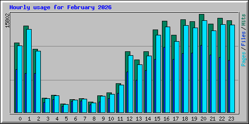 Hourly usage for February 2026