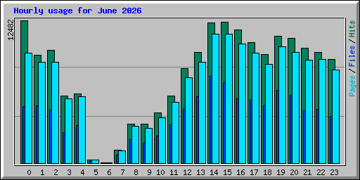 Hourly usage for June 2026