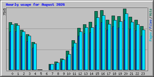 Hourly usage for August 2026